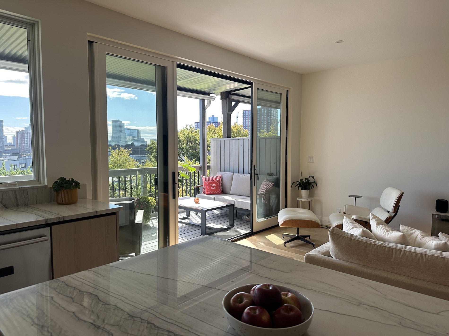 jersey-city-heights-renovation-hopkins-clegg-architects